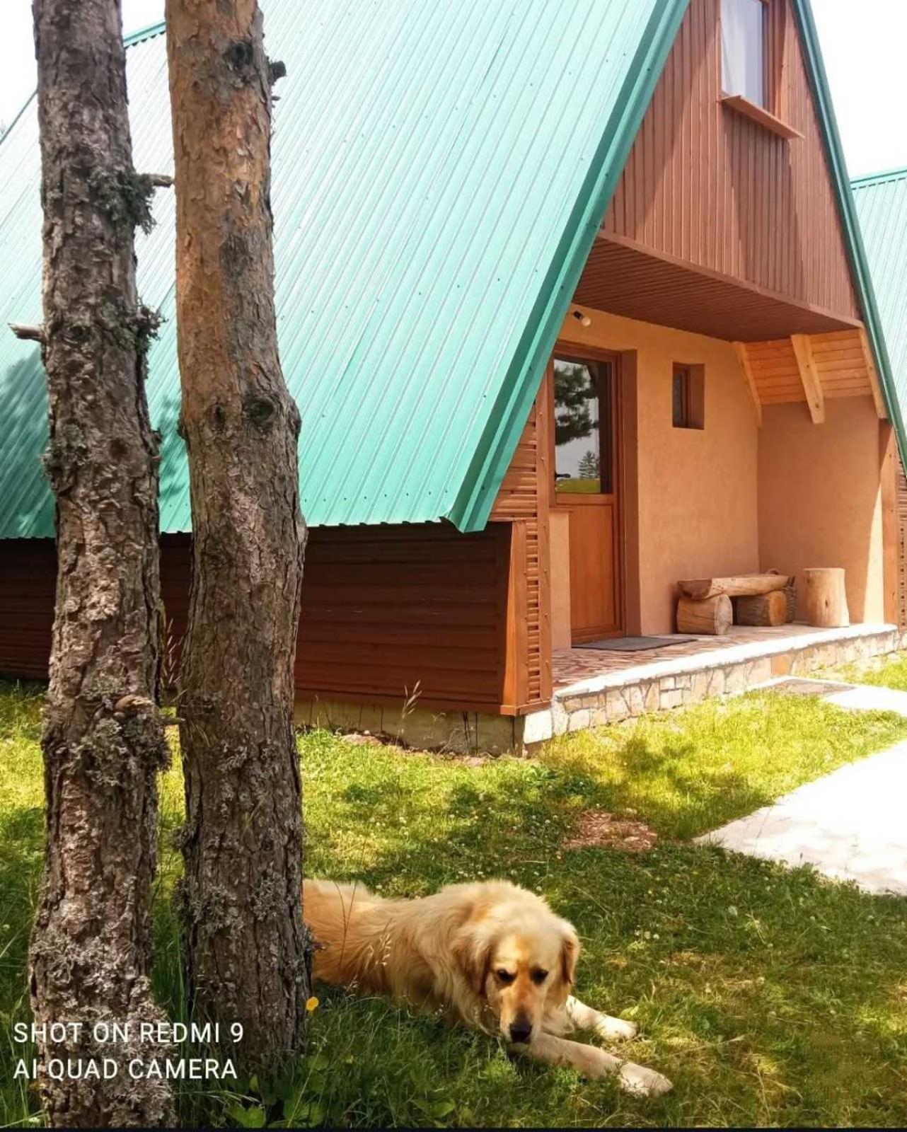 Vikendice Smolovic Villa Žabljak Exteriör bild